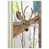 A Deer Friend