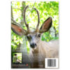 A Deer Friend - Image 3