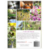 A Walk in the Vineyard - Image 3