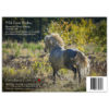 wild horse running