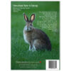 Snowshoe Hare in Spring - Image 3