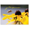 Bee Who You Izzz