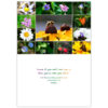 Bee Who You Izzz - Image 2