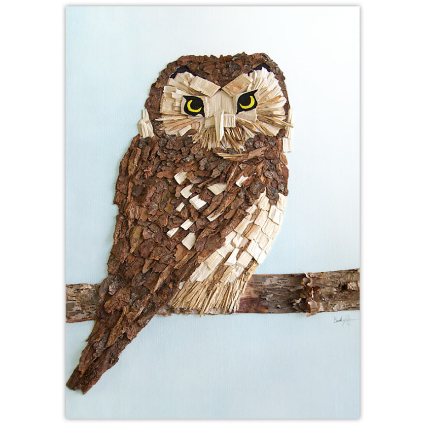 Boreal Owl image made from wood chips and bark from the boreal forests of northern Alberta