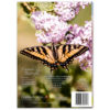 Canada's Butterfly - Image 3