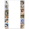 Chickadees - Image 2