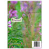 Fireweed - Image 3