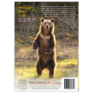 More grizzly bear cub dance moves
