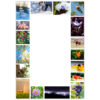 17 photos depicting the flora and fauna, landscapes and activities throughout winter, spring, summer and fall