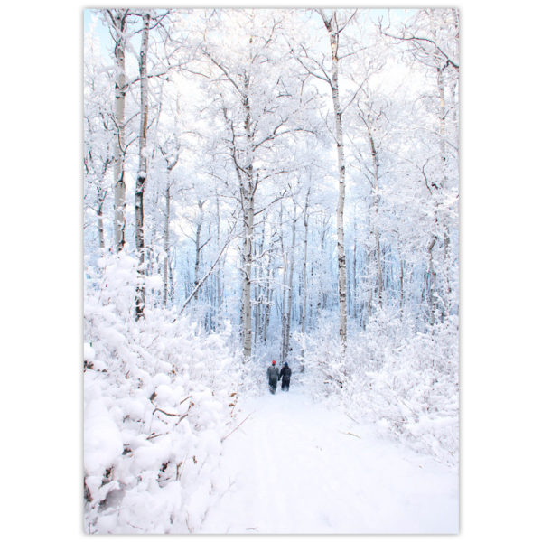 Two people walk hand in hand in a winter wonderland with tall, snow-covered aspen trees lining their path in the Peace River hills of northern Alberta