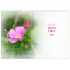 a rose bud and a fully open wild rose side by side