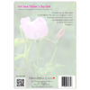 wild rose and rose bud