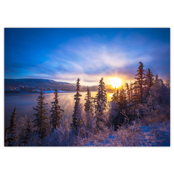 brilliant blue, pink and yellow sunrise over the Peace River on a very cold winter day with frosty evergreen trees in the foreground and steam rising off the river