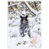 black bear cup covered in snow