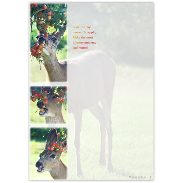 a deer plucking a crabapple and eating it