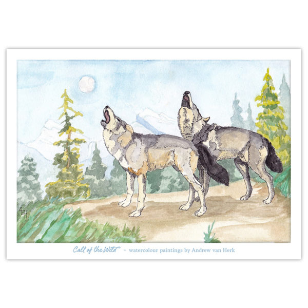 Watercolour painting of two wolves howling