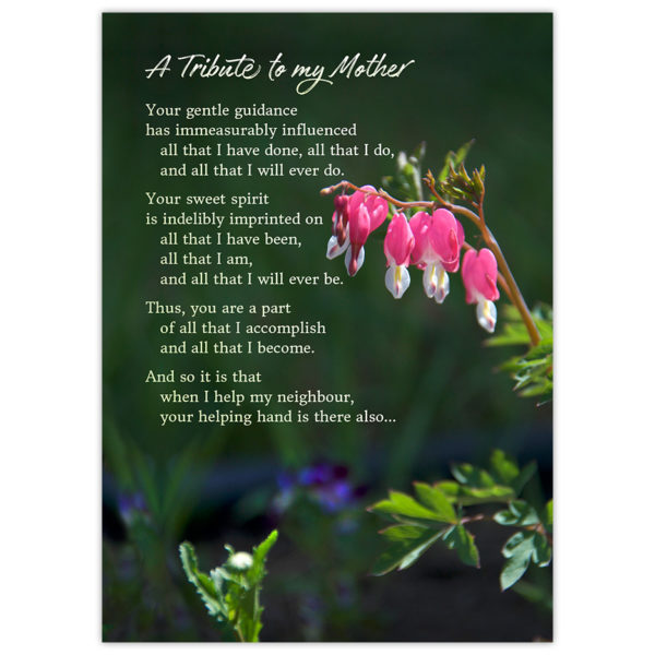 Bleeding Hearts flowers and a poem - a Tribute to my Mother
