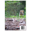 The Grateful Squirrel - Image 3