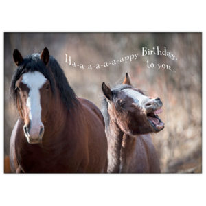 Whinnying wild horses singing "Happy Birthday to You!"