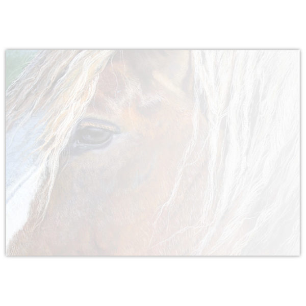 painting of a horse's face