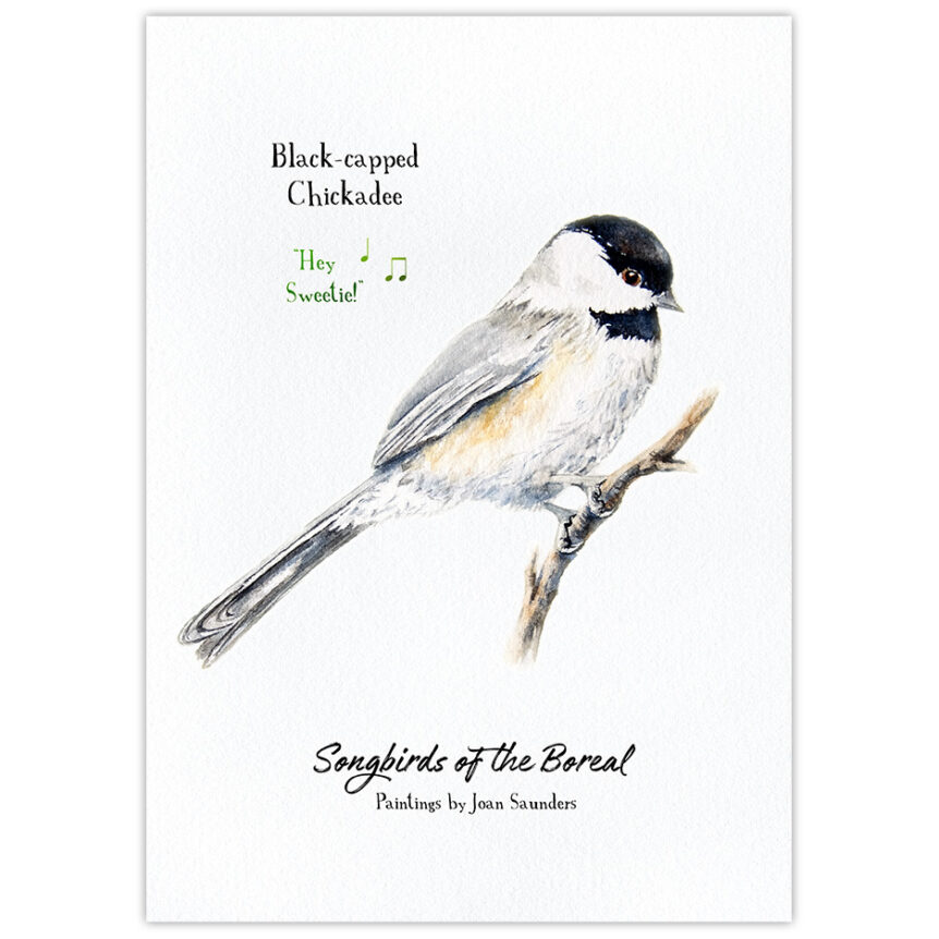 Black-capped Chickadee singing Hey Sweetie! Songbirds of the Boreal card.