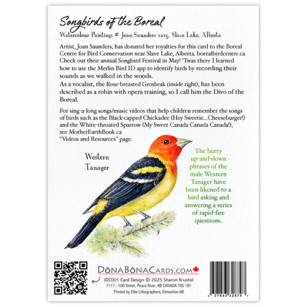 Songbirds of the Boreal - Image 3