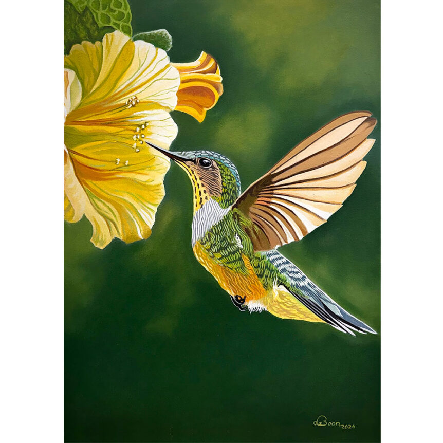 Hummingbird greeting card
